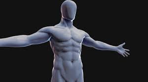 Male Body For Study And Exercise Male Base Body 3d Model By Zaxel Zaxel 3d Model Male Body