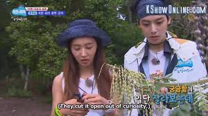The following law of the jungle episode 432 english sub has been released. Kasku S One On Twitter Eng Sub Law Of The Jungle In New Caledonia Ep 04 Yuri Https T Co 3ysgmrmuzx