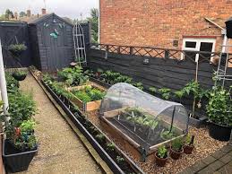 The Top 80 Vegetable Garden Ideas Laptrinhx News