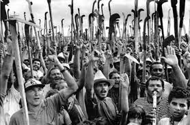 GRAIN | Desafíos y estrategias para confrontar el modelo de agronegocio  desde la organización campesina