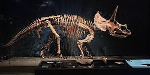 Dinosaur Escape Room for Adults