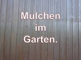 So Wachsen Eure Haare Wie Verruckt Haarausfall Stoppen Schon Nach 2 Wochen Ganz Viele Neue Haare Youtube