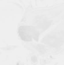 Check out amazing inselspital artwork on deviantart. Https Kgp Bern Ch Content Uploads 2020 09 Gzd Bernerkardiologie Update 2020 11juni20 Pdf