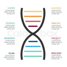Vector Dna Science Infographic Stock Vector Colourbox