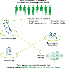 Image result for COPD Exacerbation Decision Tool