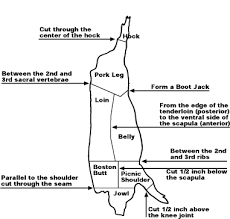 Pork Cutting Breakdown Chart