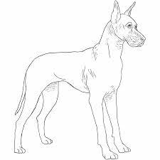 Great Dane Drawing Dog Breeds List Dane Dog Great Dane Dogs Dog Breeds