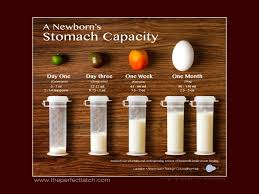 Your Newborns Stomach Capacity How To Breastfeed