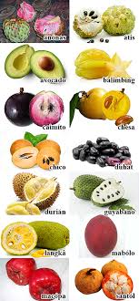 Scattergories and words starting with certain letters. Some Philippine Fruits Their English Names Filipino Journal