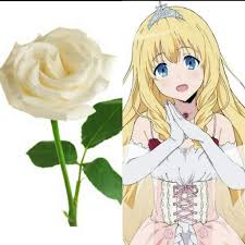 The Roses In Anime امبراطورية الأنمي Amino