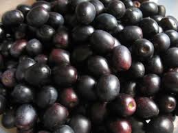 Mes Olives La Cueillette Mon Grain De Sel Breton