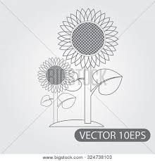 Download this premium vector about sunflower hand drawn. Sunflowers Icon Black Vector Photo Free Trial Bigstock