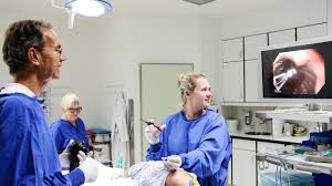 Wie oft soll man zur darmkrebsvorsorge gehen? Gastroenterologie Krankenhaus Reinbek