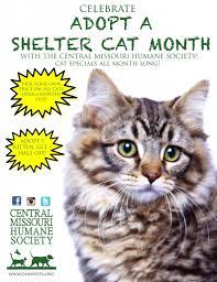 Http Www Robinson Ries Com Humane Society Central Missouri Pets