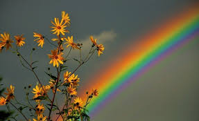 Neon aesthetic, pink color, colored background, water, no people. Bb7711 Color Wallpapers Page 2 Rainbow Flower Colorful Sky Flowers 343 Aesthetic Desktop Wallpaper Computer Wallpaper Desktop Wallpapers Cute Laptop Wallpaper