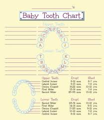 38 Printable Baby Teeth Charts Timelines Template Lab