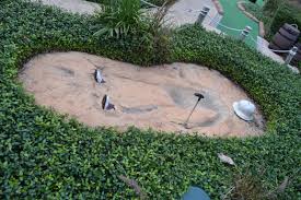 I've been asking people if you can go see the rapids, and the answers vary. Bandk Mini Golf In The Congo Bandksaturdays