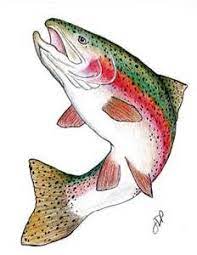 Rainbow Trout Drawings Bing Images Trout Painting Fish Drawings Fish Painting