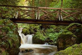 Recommended by 1277 other hikers, view 2221 photos and 92 tips—and get there with komoot! Ravennaschlucht