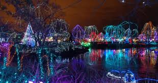 Columbus Zoo Wildlights Christmas Lights By Cdubya1971 Via Flickr Columbus Zoo Zoo Lights Columbus
