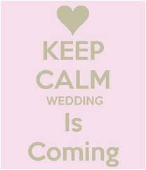 Wedding traditions and customs vary greatly between cultures, ethnic groups, religions, countries, and social classes. Belle Bride Sophie Wedding Countdown