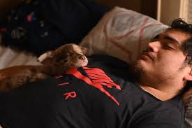 LOST DOG LOCATED ON MONDAY MARCH 16TH AT 6PM Near to pensacola ave and 183 