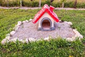 Enterrer Chien Jardin Cimetiere Conditions Etc