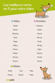 Ainsi un prénom de 2 syllabes avec une sonorité bien audible conviendra. Comment Trouver Un Nom En P Pour Un Chien En 2019