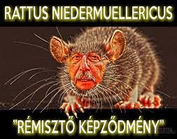 Jakab péter jobbikos szóvivő kultúrája. Kuruc Info Niedermuller Magyarazkodasa Nincs Miert Bocsanatot Kernem