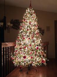Check spelling or type a new query. For A Striking Christmas Tree Add Lots And Lots Of Lights
