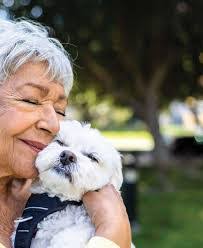 Greg Eisen's Instagram, Twitter & Facebook