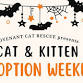 Cat & Kitten Adoption Weekend event image
