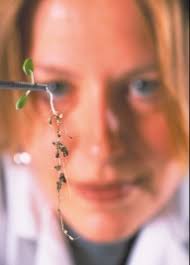 Purdue University »