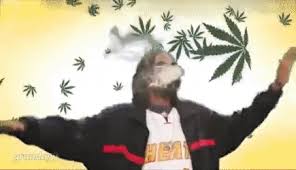 Top 24 snoop dogg memes. Best Snoop Dogg Meme Gifs Gfycat