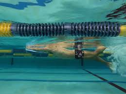 水泳の個人レッスンならスイスイクラブ