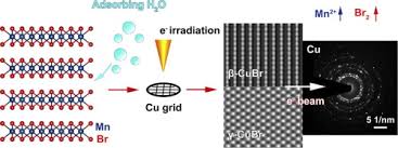 Week 2 cations and anions reaction. In Situ Tem Observation Of Novel Chemical Evolution Of Mnbr2 Catalyzed By Cu Under Electron Beam Irradiation Sciencedirect