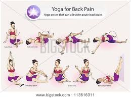 Suffering from a sore neck, back and shoulders? Yoga Back Pain Vector Photo Free Trial Bigstock