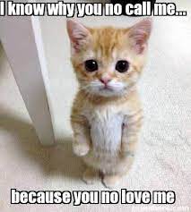 Meme Creator Funny I Know Why You No Call Me Because You No Love Me Meme Generator At Memecreator Org