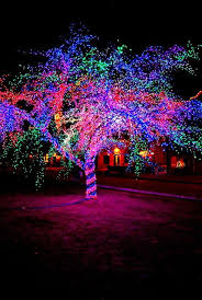 Pretty Tree Lights Combination Exterior Christmas Lights Outdoor Christmas Outdoor Christmas Lights