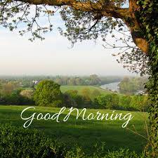 We did not find results for: Cute Nature Good Morning Hd Tree Image Good Morning Images Good Morning Nature Good Morning Photos