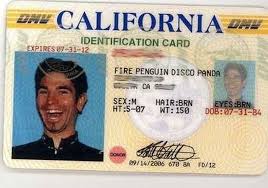 Fire penguin disco panda / name :: card :: photo :: funny pictures / funny  pictures & best jokes: comics, images, video, humor, gif animation - i lol'd