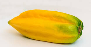 Image result for Carica