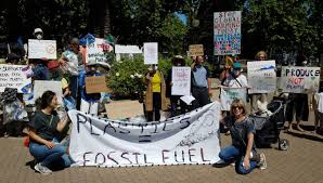 What are American grassroots movements advocating for environmental conservation?