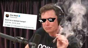 Elon Musk Tweets Asking For Dank Memes Stayhipp
