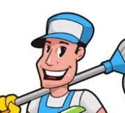 The The Cleanup Guys Reviews