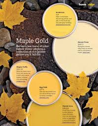Better Homes And Gardens Paint Colors Design 5 Maple Gold Paint Colors From Better Homes Garden Gold Paint Colors Yellow Paint Colors Yellow Painting