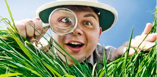 DPA system under microscope … again