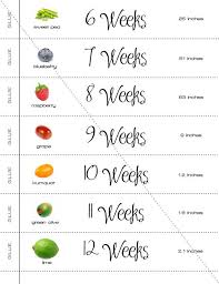 22 Extraordinary Pregnancy Week Size Chart