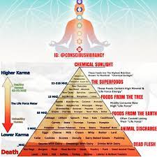 Don't worry so much about the calories and fat content, as it's better. A High Vibrational Diet Consists Of Foods That Are Alive And That Positively Benefit The Person As Well Life Force Energy Higher Vibrational High Energy Foods