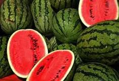 Image result
